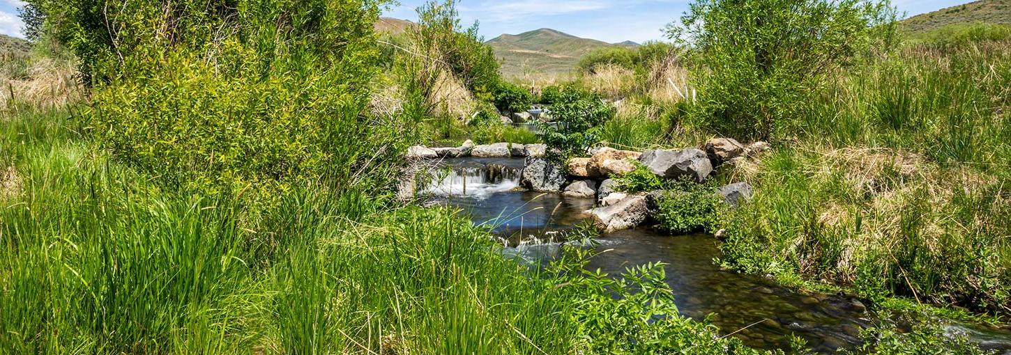 The Rinker Rock Creek